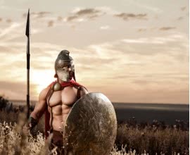 The History of Plastic Surgery