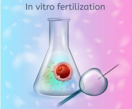 Let's Get Crackin' - The History of Egg Donation