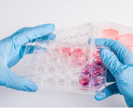 Egg Freezing - How Does It Work?