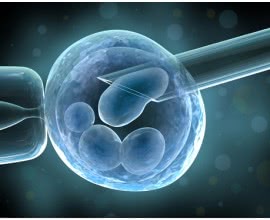IVF PATIENT PERSONAL DATA MANAGEMENT HFE ACT 1990