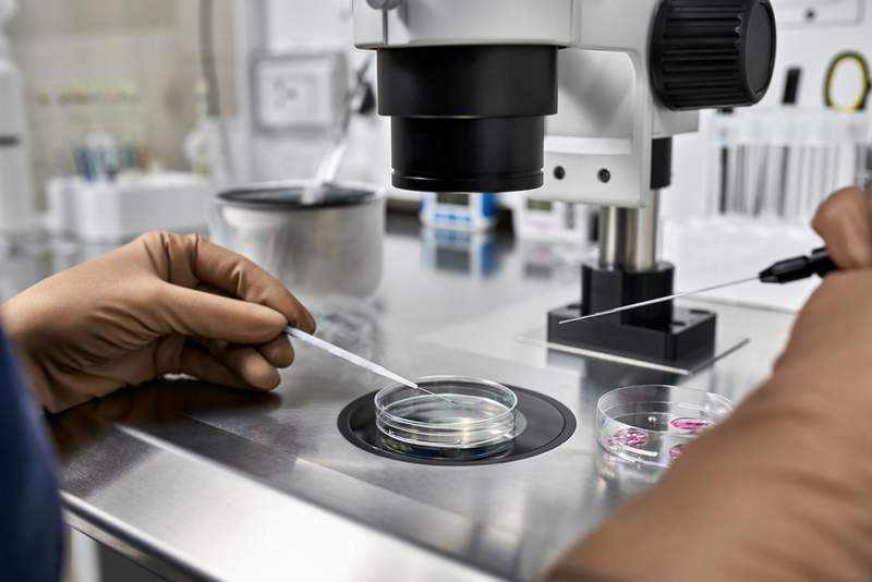 Freezing your eggs procedure