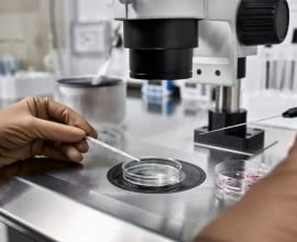 Freezing your eggs: the How and the Why