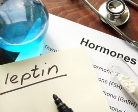 Leptin Resistance