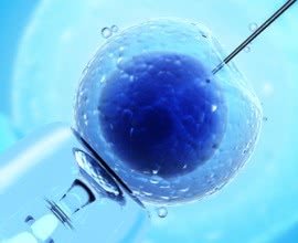 Wie die IVF-Methode Holywood eroberte...