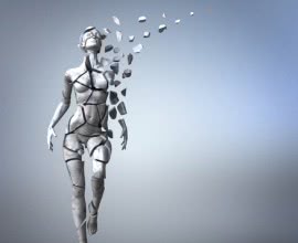 Plastische und rekonstruktive Chirurgie